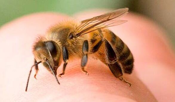 Méhcsípés - extrém módja a fallosz nagyításának